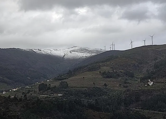 Feriegård Douro - Quinta Manas - Baiao Alcarias (Baiao)